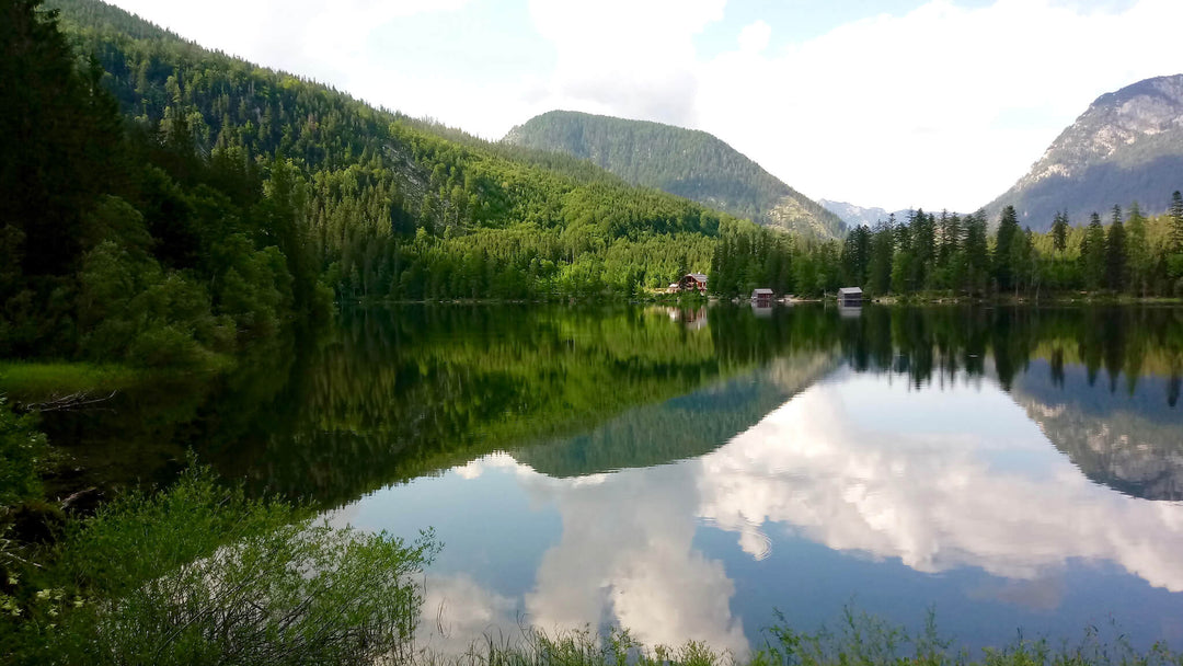 №29 Ausflug zum Ödensee